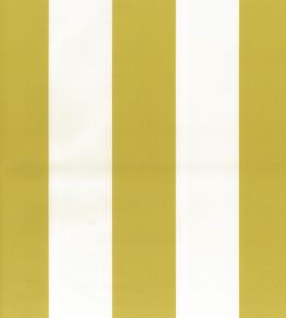 Pisa Stretto Fabric by Osborne & Little Chartreuse