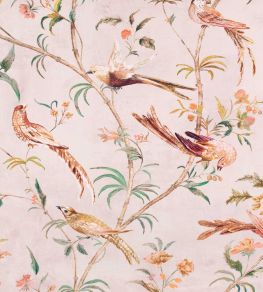 Pluma Fabric by Romo Blush