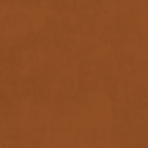 Plush Velvet Fabric by Warwick Burnt