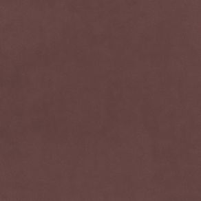 Plush Velvet Fabric by Warwick Cola