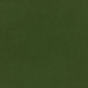 Plush Velvet Fabric by Warwick Conifer