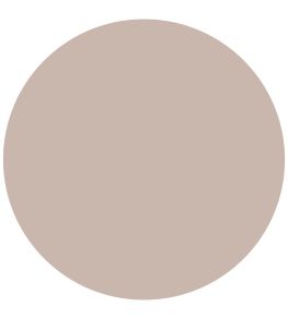 Pointe Silk Satin Paint by Annie Sloan Pointe Silk