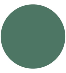 Poison Elite Emulsion Paint by Zoffany Poison