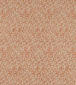 Pokot Fabric by Clarke & Clarke Spice