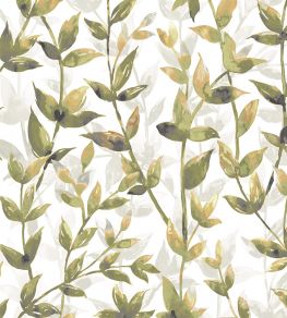 Pomponette Wallpaper by Ohpopsi Earth Amber