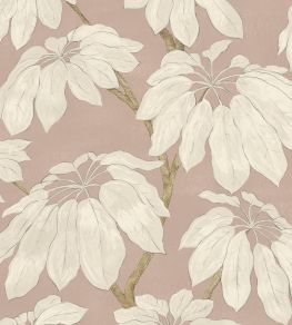 Pondicherry Wallpaper by The Pure Edit Old Rose