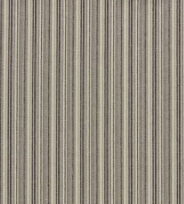 Ponto Fabric by Clarke & Clarke Charcoal
