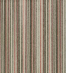 Ponto Fabric by Clarke & Clarke Spice/Sage