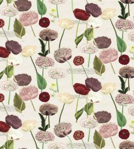 Poppy Study Fabric by Designers Guild Violet