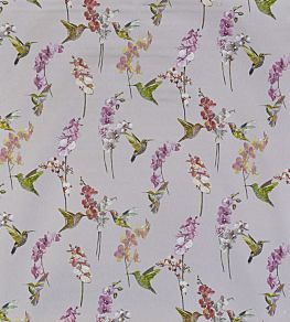 Humming Bird Fabric by Prestigious Textiles Rose Quartz