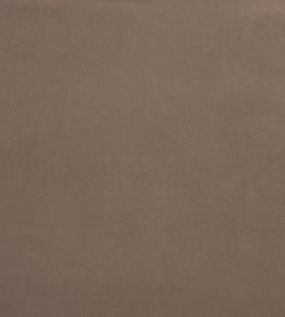 Belgravia Fabric by Prestigious Textiles Camel