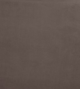 Belgravia Fabric by Prestigious Textiles Mole