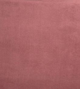 Belgravia Fabric by Prestigious Textiles Blossom