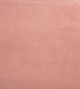 Belgravia Fabric by Prestigious Textiles Petal