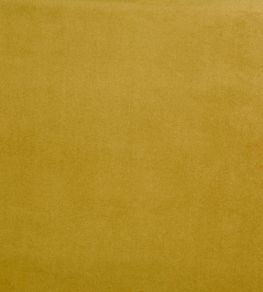 Belgravia Fabric by Prestigious Textiles Zest