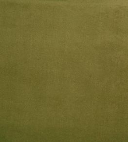 Belgravia Fabric by Prestigious Textiles Leaf