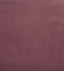 Belgravia Fabric by Prestigious Textiles Dusk