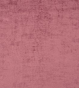 Soho Fabric by Prestigious Textiles Blossom