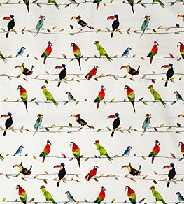 Toucan Talk Fabric by Prestigious Textiles Paintbox