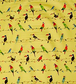 Toucan Talk Fabric by Prestigious Textiles Zest