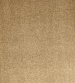 Velour Fabric by Prestigious Textiles Mink