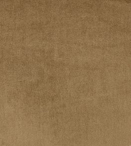 Velour Fabric by Prestigious Textiles Cocoa