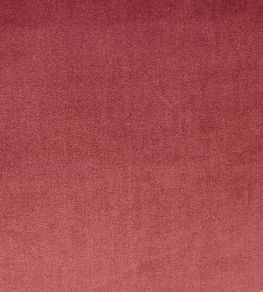 Velour Fabric by Prestigious Textiles Rosebud