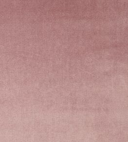 Velour Fabric by Prestigious Textiles Petal