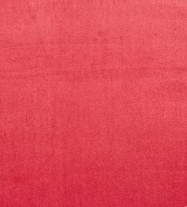 Velour Fabric by Prestigious Textiles Fuchsia