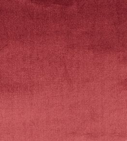 Velour Fabric by Prestigious Textiles Damson