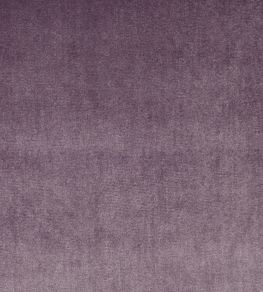 Velour Fabric by Prestigious Textiles Mulberry