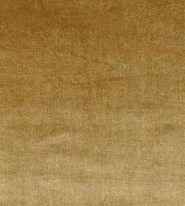 Velour Fabric by Prestigious Textiles Gold