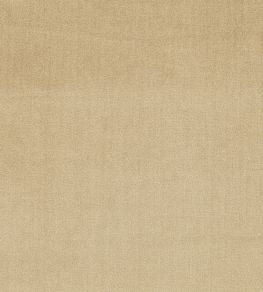 Velour Fabric by Prestigious Textiles Sandstone