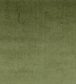 Velour Fabric by Prestigious Textiles Hunter