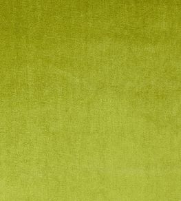 Velour Fabric by Prestigious Textiles Grass
