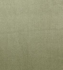 Velour Fabric by Prestigious Textiles Willow