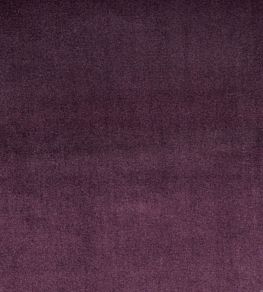 Velour Fabric by Prestigious Textiles Grape