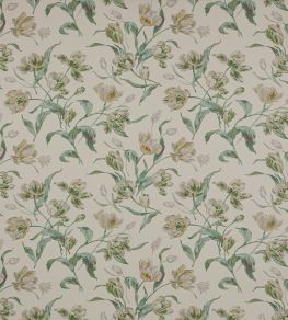 Primavera Fabric by Colefax and Fowler Ivory/Green