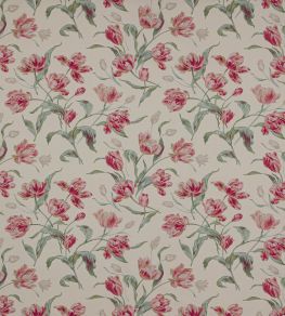 Primavera Fabric by Colefax and Fowler Pink/Green