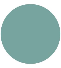 Provence Chalk Paint by Annie Sloan Provence