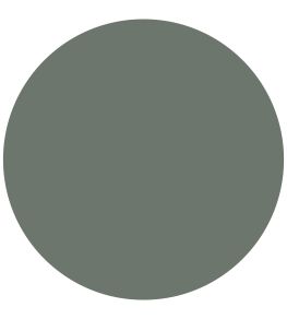 Pullman Green 1829 Chalky Emulsion Paint by Craig & Rose Pullman Green