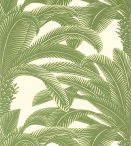 Queen Palm Wallpaper by Thibaut Sage
