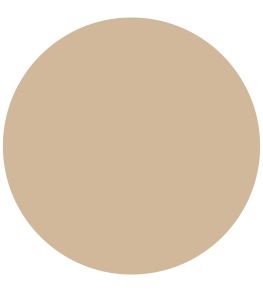 Regency Cream 1829 Chalky Emulsion Paint by Craig & Rose Regency Cream