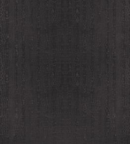 Regia Fabric by Anna French Ebony