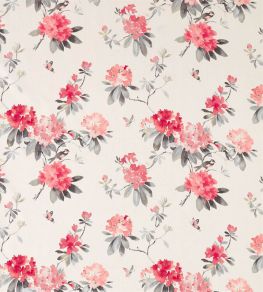 Rhodera Fabric by Sanderson Coral