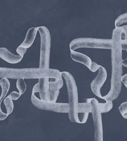 Ribbon Mural by Coordonne Lapislazuli