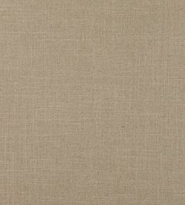 Asuri Fabric by Romo Putty