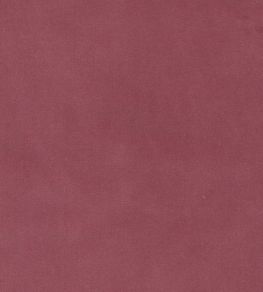 Rooksmoor Velvet Fabric by Lewis & Wood Tricia Pink