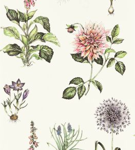 Roseraie Wallpaper by Clarke & Clarke Summer