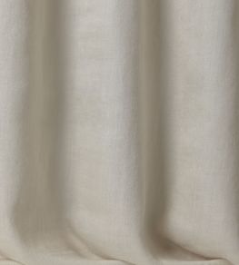 Ross Fabric by Lizzo 6